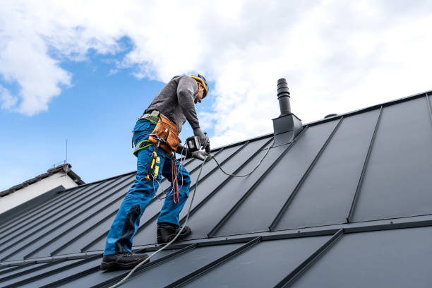 Best Sheet Metal Roofing  in Nanticoke, PA